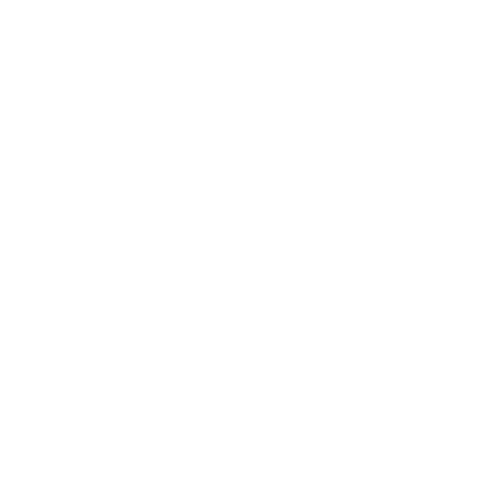 TIENDA DJ PALOMO